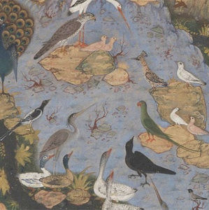 Meet your Posher, Deniz zehra